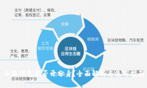 小狐钱包能否开分身？全面解析与使用指南