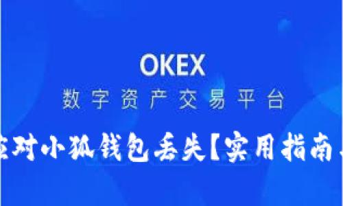 如何有效应对小狐钱包丢失？实用指南与解决方案