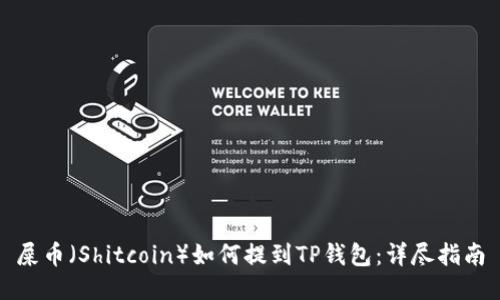 屎币（Shitcoin）如何提到TP钱包：详尽指南