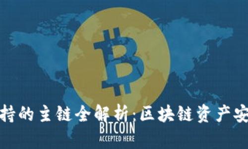 小狐钱包支持的主链全解析：区块链资产安全与多样性