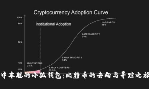 中本聪的小狐钱包：比特币的去向与寻踪之旅