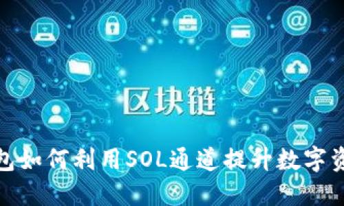 标题小狐钱包如何利用SOL通道提升数字资产管理体验