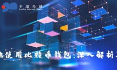 如何安全地使用比特币钱包：深入解析及最佳实